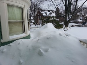 Blizzard blues - 2015 boston blizzard