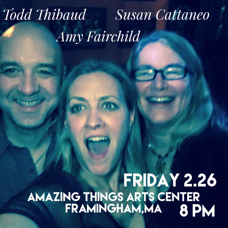 Amy Fairchild, Susan Cattaneo Todd Thibaud Amazing Things Arts Center