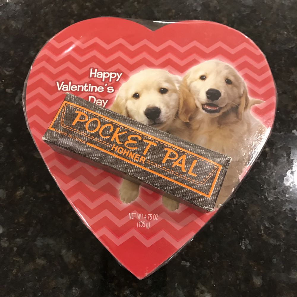 Valentine-Day-puppies-chocolate-image